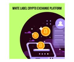 Break Free from Scratch with our White Label Crypto Exchange Platform