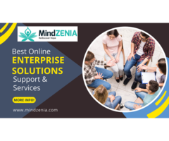 Enterprise Solutions Service Enhance Online