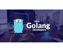 Top-notch Golang Development Services in Florida