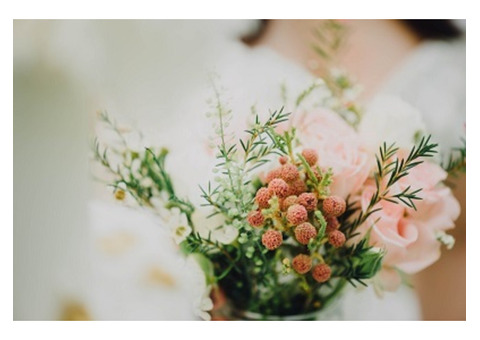 Explore The Enchanting Rustic Wedding Venues Of Jeffersonville City