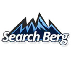 SearchBerg Reviews: Authentic SEO Testimonials from Clients