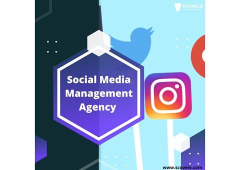 Social Media Management Agency - ScoVelo Consulting
