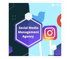 Social Media Management Agency - ScoVelo Consulting