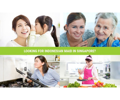 Best Indonesian Maid Agency in Singapore