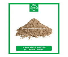 Jamun Seed Powder from Ambuj Naturals