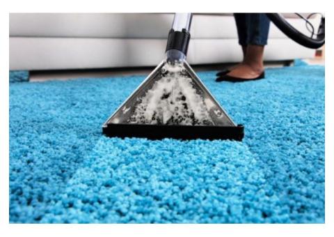 Professional Carpet Cleaners in Box Hill.