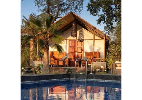 Get a Luxurious Stay at Luxury Chalet for Couples