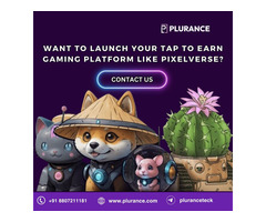 Launch your tap to earn gaming platform like pixelverse at low cost