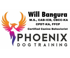 Reactive Dog Training Phoenix