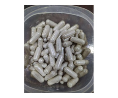 Capsule Microdose Mushroom for Sale