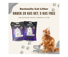 Why Bentonite Cat Litter is the Best Choice for Your Feline Friend