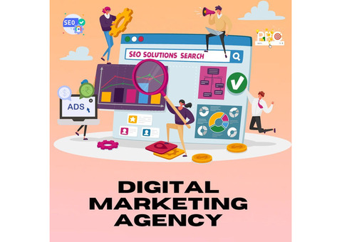 India's Best Internet Marketing Agency with Pitch Pine Media