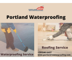 Find The Best Portland Leak Detection And Repair Service