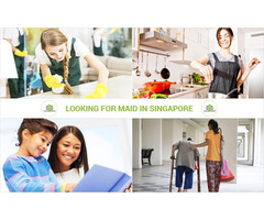 Looking For A Best Maid in Singapore