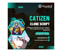 Catizen Clone Script- Affordable Solution to Build a P2E Game