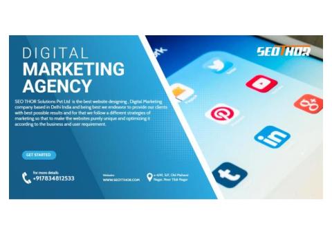 Leading SEO Company In Delhi | SEO THOR