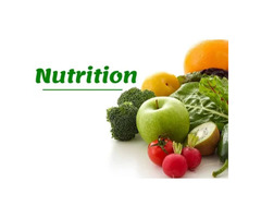 Become a Certified Holistic Nutritionist