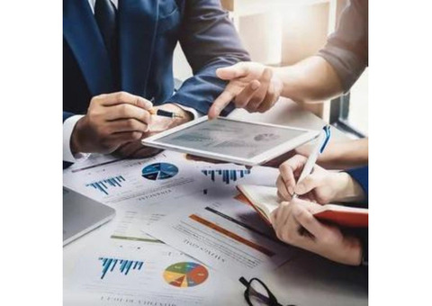 Project Evaluation Consultant