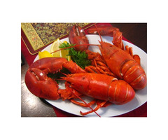 Best Lobster Delivery Canada