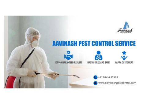Best Pest Control Services experts in Chennai