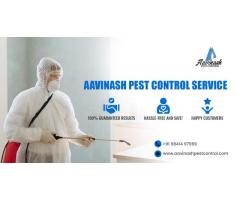 Best Pest Control Services experts in Chennai