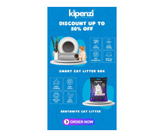 Automatic Cat Litter Boxes and Bentonite Cat Litter