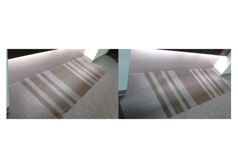 Carpet stain removal service Adelaide
