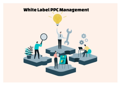 Unleash the Power of Expert White Label PPC Management Company