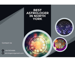 Best Astrologer in North York