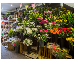 Faux Floral Arrangements