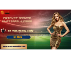 Gain Your Cricket Bookie Whatsapp Number For Big Win