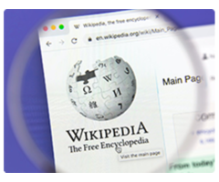 Renowned Wikipedia Experts in Delhi