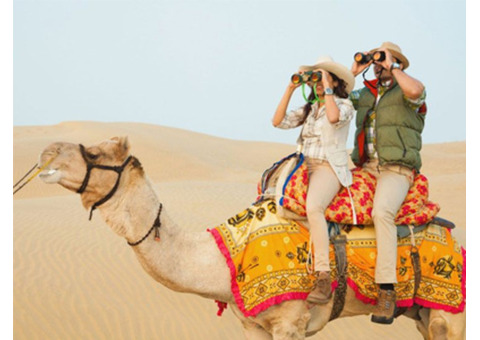 Discover Your Gateway to Unforgettable Adventures