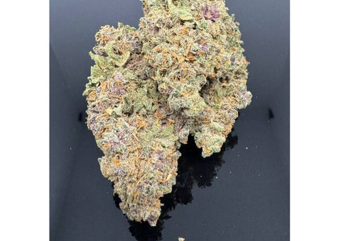 Royal Jelly Strain