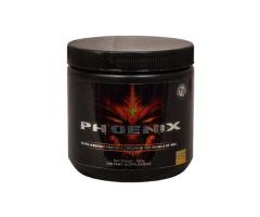 Phoenix | Pre-Workout Formula