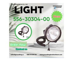 ✔ Light 556-30304-00