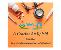 Is Codeine An Opioid