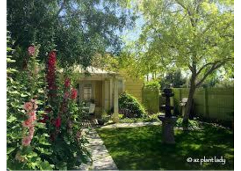 Outdoor Gardening Tips Phoenix, AZ