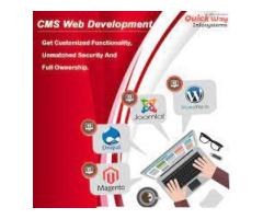 Get Secure & Scalable CMS website development