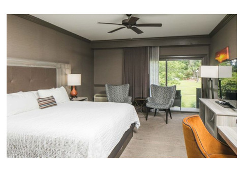 Best Lodging Options in Young Harris, GA