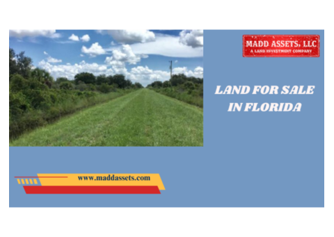 Affordable Land for Sale in Florida