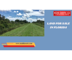 Affordable Land for Sale in Florida