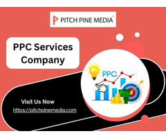 Best White Label PPC Services Company in India with Pitch Pine Media