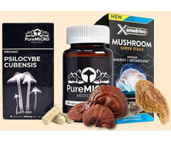 Get The Best Magic Mushrooms.