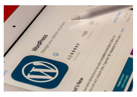 Expert WordPress Development for Professional Websites