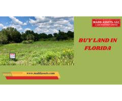 Exclusive Florida Land Deals  Buy Now