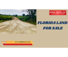 Affordable Florida Land for Sale - Invest Now