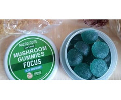 Magic Mushroom Gummies for Sale