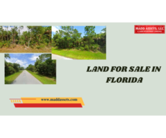 Invest in Florida Land – Prime Locations Available Now