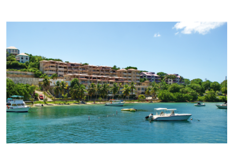 Experience Virgin Islands National Park at Estate Lindholm